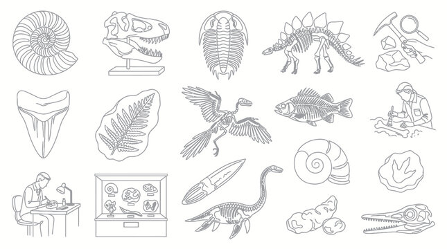 Paleontology Fossil Dinosaurs Black and White Line Art Icon Set. Archeology Science Museum Outline Elements