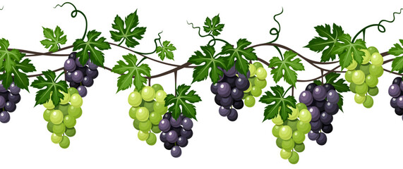 Naklejka premium Seamless border with black and green grapes on a white background. Vector horizontal seamless grape vine