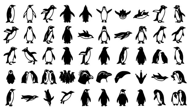 Penguin Species Wildlife Silhouette Mega Icon Collection