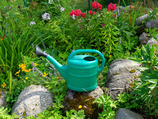 Green plastic watering can placed on natural rocks in a lush summer garden, surrounded by colorful flowers, wild plants, and fresh green foliage. A peaceful gardening scene representing plant care © Gunars