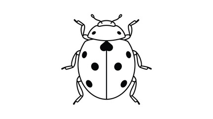 Fototapeta premium Symmetrical ladybug top view outline vector