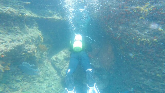 青い海の岩場を泳ぐダイバー