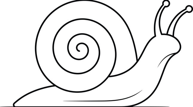 Snail with spiral shell outline vector illustration