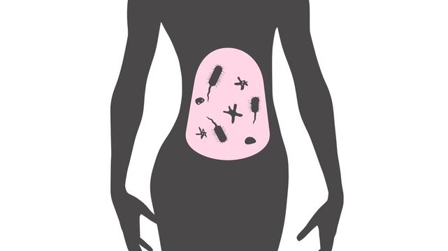 Human body silhouette showing gut microbiome: bacteria and microbes living inside the intestine. Idea of digestive health, flora balance, probiotics and internal wellbeing.