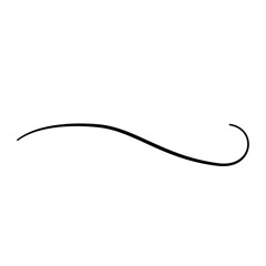 Fototapeta premium Elegant curved line art divider handdrawn black ink
