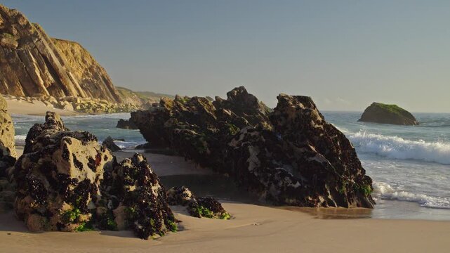 Seaweed Covered Rocks and Waves on Portugal Coast