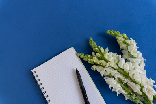 Blue surface holds notebook and pen. White flowers curve beside lined pages. Dark pen rests near open journal. Stillness suggests quiet planning or reflection.
