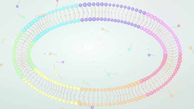 Pastel phospholipids swaying as heads and tails pulse seamless loop