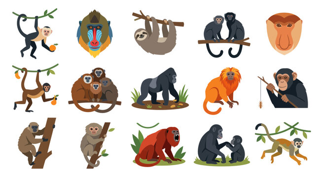 Flat Style Vector Illustration of Various Monkeys and Apes