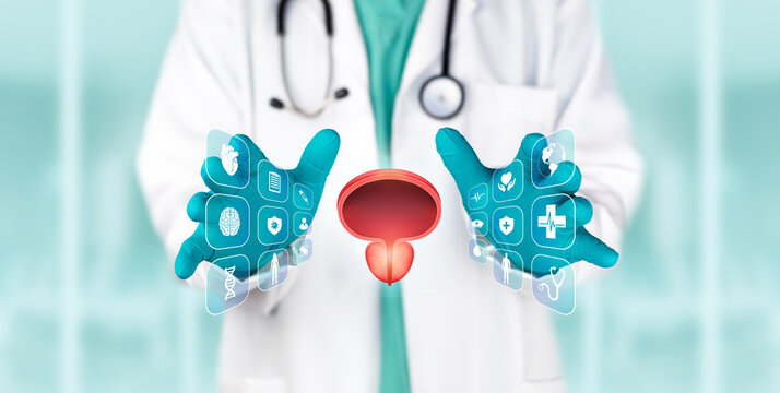 Doctor examining a digital screen to detect abnormalities in the prostate gland and bladder for prostate cancer diagnosis, laboratory analysis, and science. Medical technology.