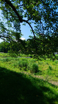 Riverbank Promenade Trail for Cycling and Fishing along Houki River in Shiobara Onsen, Nasushiobara, Tochigi, Japan