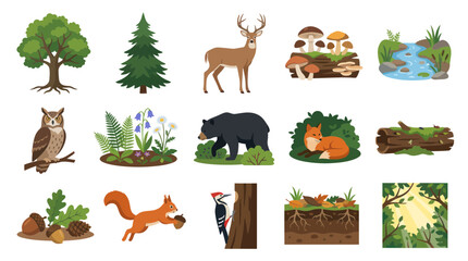 Obraz premium Flat Style Forest Nature Icons: Animals, Plants, Mushrooms, Stream, Wood
