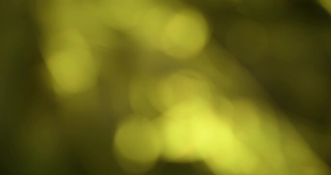 Bokeh light. Yellow glitter texture. Vibrant warm color lens flare bright optical glisten reflection on abstract illuminated background.