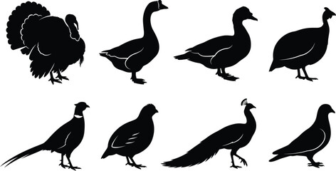Vector silhouette collection of various farm and wild birds including turkey goose duck pheasant and peacock © RitaRani