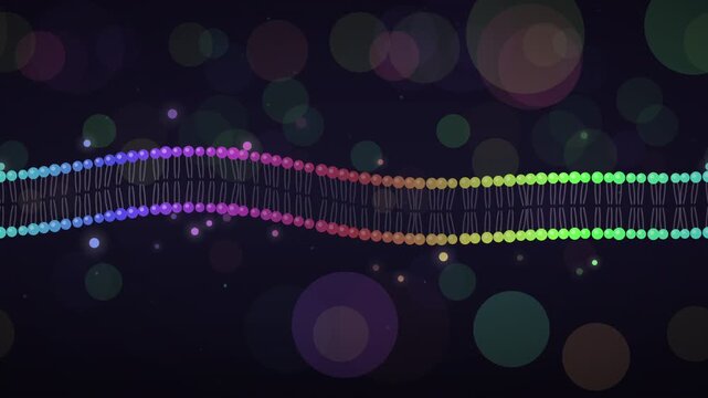 Cinematic pan across vibrating rainbow bilayer seamless loop