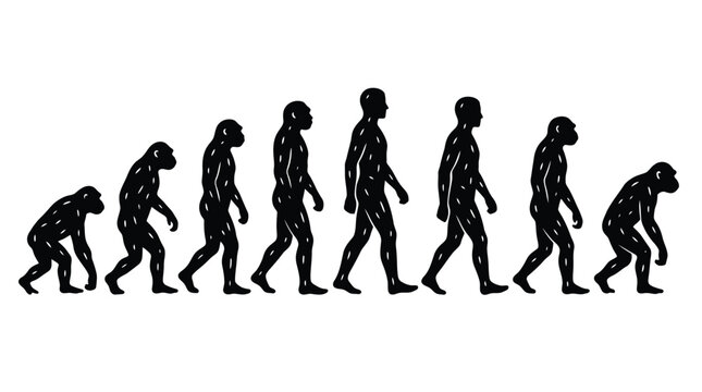 Human evolution stages from ape to modern man in black silhouettes on white background
