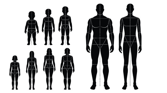 Human body measurement chart with grid lines for fashion design and anatomy studies on white background