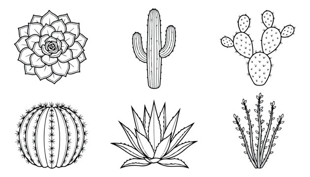 Minimalist cactus line art collection, 6 desert succulent vector icons, black and white botanical illustrations for coloring