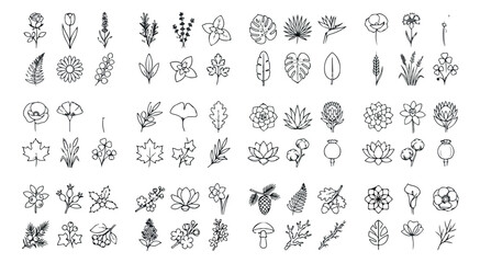 Fototapeta premium Minimalist botanical line art icons, set of 72 floral vector elements, black outline flowers and leaves for logo design