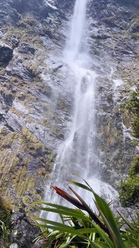 Vertical close-up footage of misty waterfall spray cascading down rugged rock face with native flax in foreground, Earland falls.