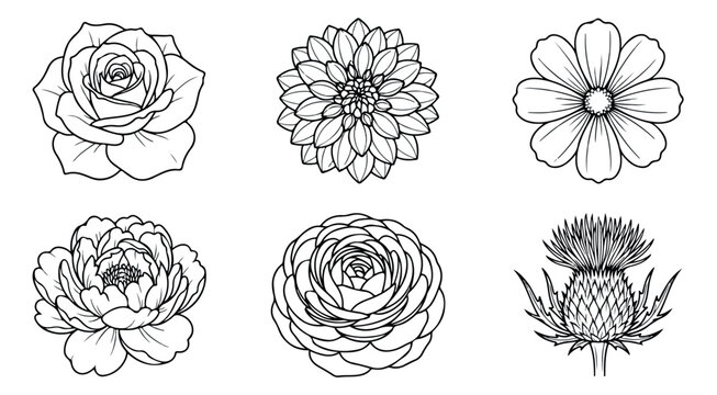 Minimalist botanical line art, set of 6 floral vector icons. Hand drawn flower sketches including rose, peony, and dahlia for wedding stationery.