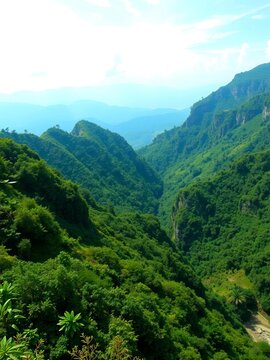 Mountainous terrain dominated by lush greenery, valley, landscape