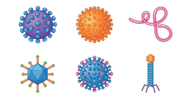 Microscopic virus and bacteria cell structures set featuring bacteriophage coronavirus ebola and pathogens for medical science infographic layouts