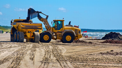 Fototapeta premium Wheel loader loading dark sand or seaweed into a heavy articulated dump truck on a sandy beach. Coastal engineering, beach cleaning and shore restoration work.