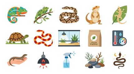 Fototapeta premium Reptile Pet Care Flat Vector Icons Set with Animals, Terrarium, Food, and Supplies