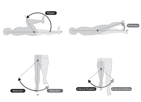 Black and white, Range of motion of the hip joint  set