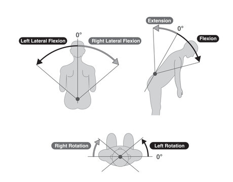 Black and white,  Thoracolumbar Spine and Trunk Range of Motion (ROM) Illustration
