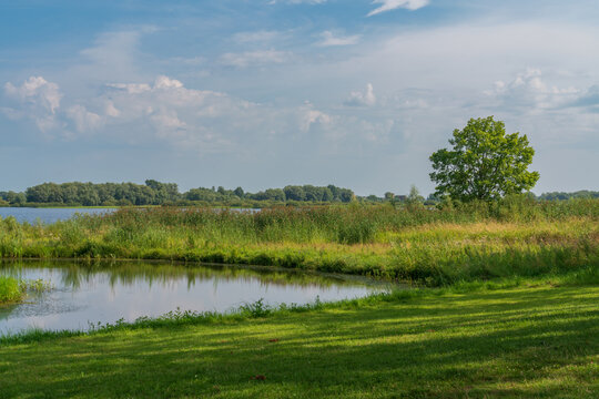 View of the Volkhov River from the territory of the Novgorod Museum of Folk Wooden Architecture Vitoslavlitsy on a sunny summer day, Veliky Novgorod, Russia