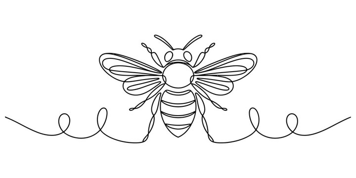 Continuous single line drawing of a honey bee with decorative swirls