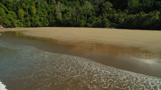 Lone person walking on wide sandy beach by rainforest in Playa Arco Costa Rica