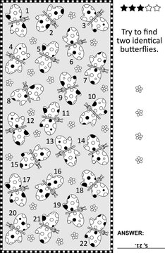 Find two identical butterflies visual puzzle. Answer included.
