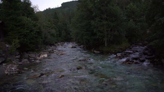 Clear alpine stream flows over rocks through dense forest near Gerlos in Tyrol, Austria, captured in a steady real-time summer landscape shot.