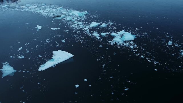 Close Up Sea Ice Floating in Ocean, Small Bits of Ice in Water in Antarctica, Icebergs in Antarctic Peninsula in Winter, Seascape Detail with Dark Background in Icy Scene