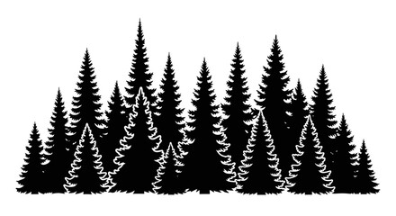 Black silhouette of evergreen trees on white background with silhouette group trees against illustration environment coniferous graphic with forest © Pabitra