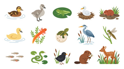 Obraz premium Cute Flat Style Animals and Insects in Pond Ecosystem Vector Set