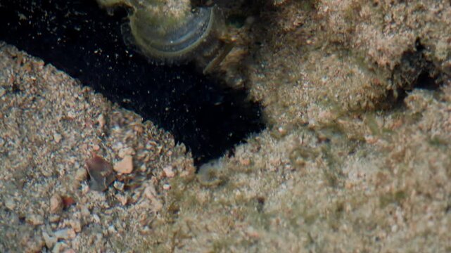 Slow Movement Across Shallow Seabed