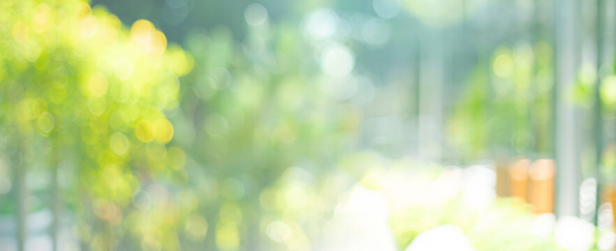 Long banner size,Soft Blur big  window with green nature garden