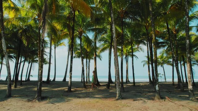 Woman walking among lush palm trees on tropical beach in Costa Rica