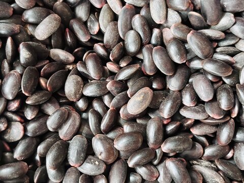 A full-frame, detailed macro photograph capturing a dense heap of dried, raw black Malabar chestnut seeds (Pachira aquatica), known as 'Saba Nut' in Indonesia. Their dark, mottled skin is visible.
