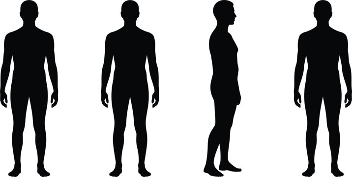 Four black silhouettes of a male human body including front, back, and side profiles isolated on a white background, for anatomical study, and body measurement