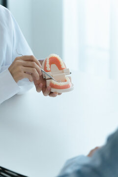 dentist holding tooth model White healthy tooth, Doctor doing dental treatment&nbsp;