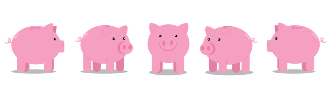 Piggy Bank Different Angles