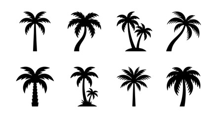 Fototapeta premium Black Silhouette Palm Tree Vector Icons, Tropical Island Flora Collection, Summer Beach Vacation Elements, Exotic Plant Graphics