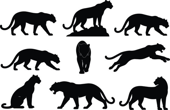 Black Panther Silhouette Collection
