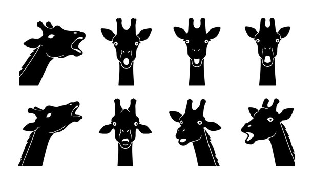 Set of Eight Giraffe Head Silhouettes, Expressive Faces, Black and White Vector Icons for Wildlife and Safari Themes