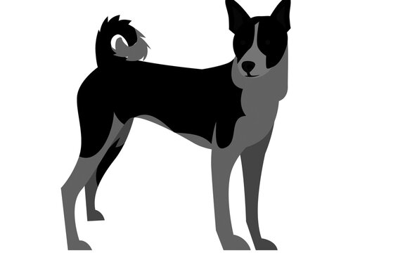 Flat vector illustration of black and gray dog breed